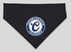Cruisers Doggie Bandana