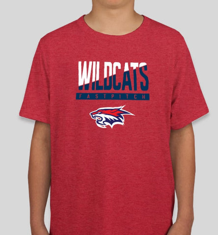 Wildcats Alternate Tri-Blend Shirt (CLOSEOUT)